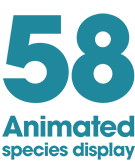 58 Animated displays
